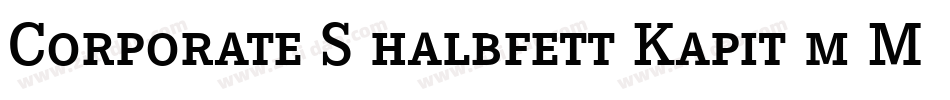 Corporate S halbfett Kapit m Medziff字体转换